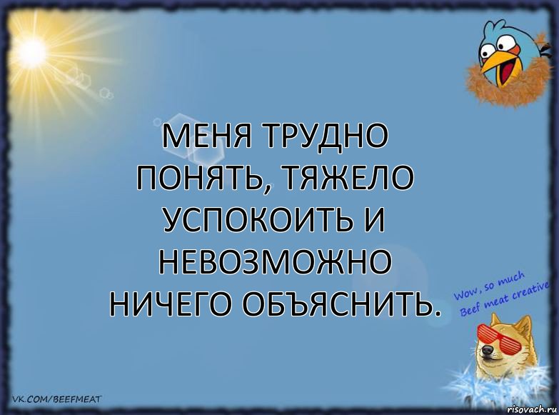 Меня трудно понять, тяжело успокоить и невозможно ничего объяснить., Комикс ФОН