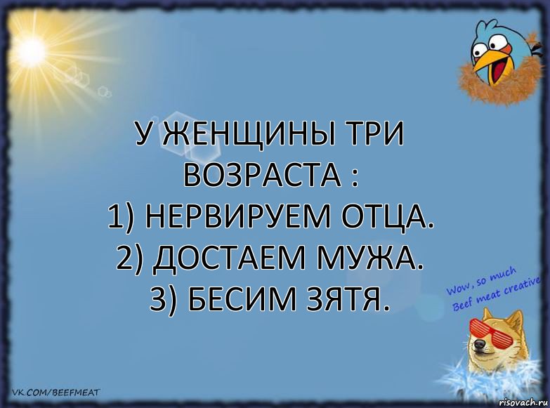 У женщины три возраста :
1) Нервируем отца.
2) Достаем мужа.
3) Бесим зятя., Комикс ФОН