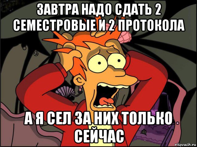 завтра надо сдать 2 семестровые и 2 протокола а я сел за них только сейчас, Мем Фрай в панике