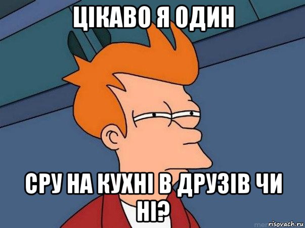 цікаво я один сру на кухні в друзів чи ні?, Мем  Фрай (мне кажется или)