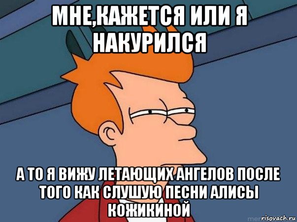 мне,кажется или я накурился а то я вижу летающих ангелов после того как слушую песни алисы кожикиной, Мем  Фрай (мне кажется или)