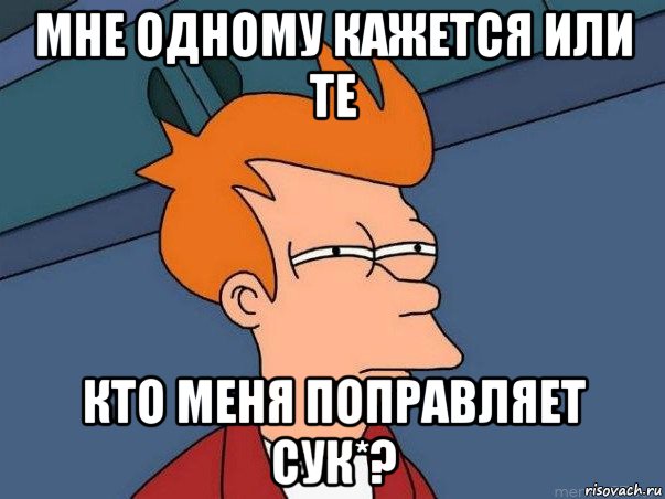 мне одному кажется или те кто меня поправляет сук*?, Мем  Фрай (мне кажется или)