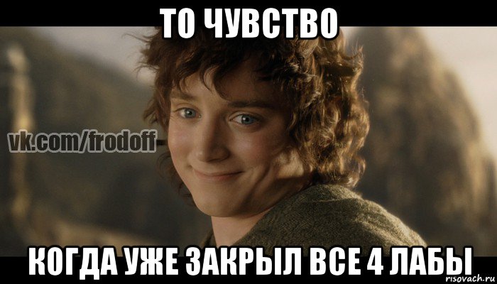 то чувство когда уже закрыл все 4 лабы, Мем  Фродо