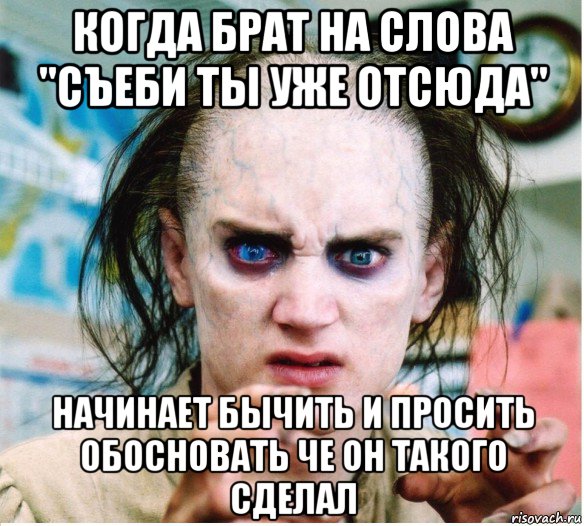 когда брат на слова "съеби ты уже отсюда" начинает бычить и просить обосновать че он такого сделал, Мем фродум