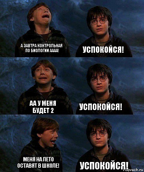 а завтра контрольная по биологии аааа! успокойся! аа у меня будет 2 успокойся! меня на лето оставят в школе! Успокойся!, Комикс гарри и рон в пещере пауков