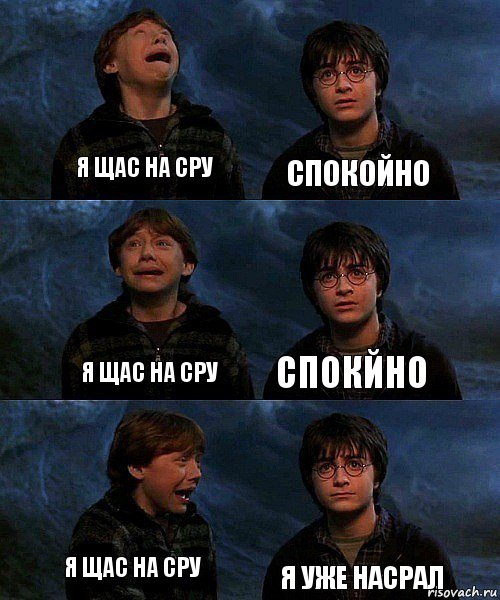 я щас на сру спокойно я щас на сру спокйно я щас на сру я уже насрал, Комикс гарри и рон в пещере пауков