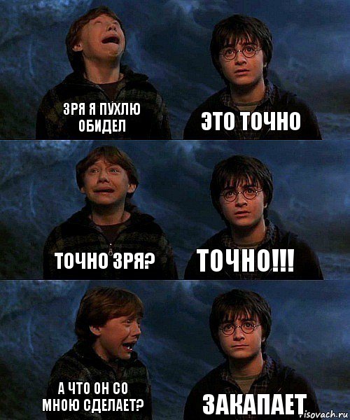 Зря я Пухлю обидел Это точно Точно зря? точно!!! А что он со мною сделает? Закапает, Комикс гарри и рон в пещере пауков