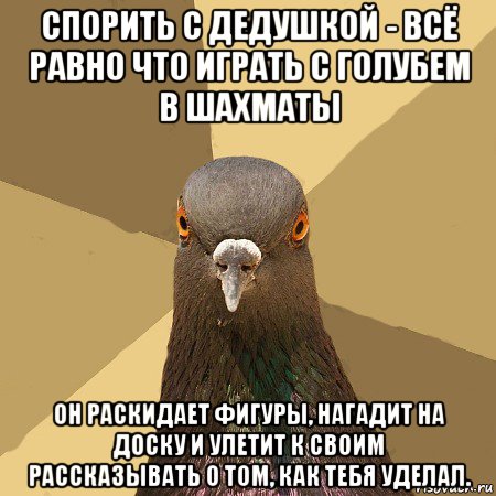 спорить с дедушкой - всё равно что играть с голубем в шахматы он раскидает фигуры, нагадит на доску и улетит к своим рассказывать о том, как тебя уделал., Мем голубь