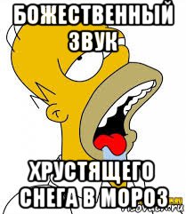 божественный звук хрустящего снега в мороз, Мем  Гомер пускает слюни