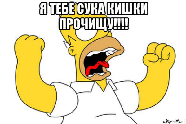 я тебе сука кишки прочищу!!!! , Мем Разъяренный Гомер