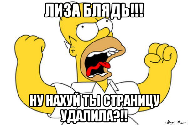 лиза блядь!!! ну нахуй ты страницу удалила?!!, Мем Разъяренный Гомер