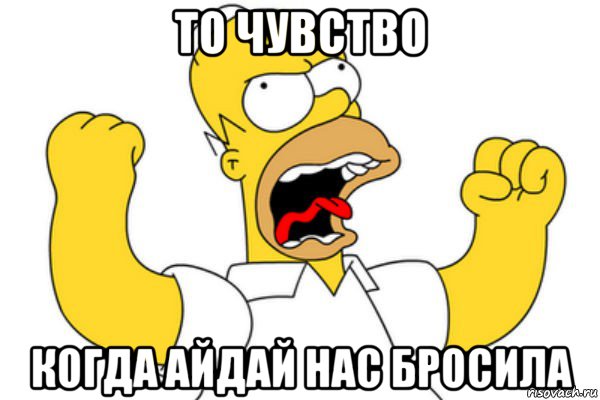 то чувство когда айдай нас бросила, Мем Разъяренный Гомер