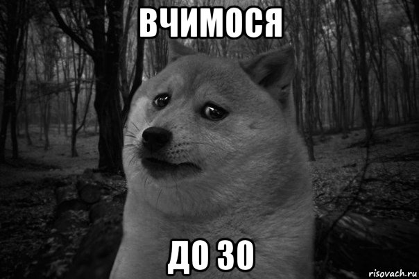 вчимося до 30, Мем    Грусть-пичаль