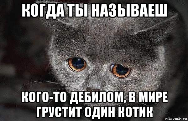 когда ты называеш кого-то дебилом, в мире грустит один котик, Мем  Грустный кот