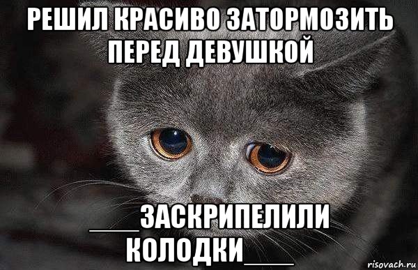 решил красиво затормозить перед девушкой ___заскрипелили колодки___, Мем  Грустный кот