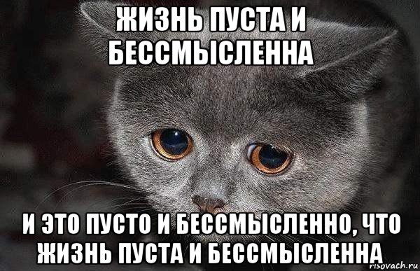 жизнь пуста и бессмысленна и это пусто и бессмысленно, что жизнь пуста и бессмысленна, Мем  Грустный кот