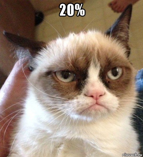 20% , Мем Грустный (сварливый) кот