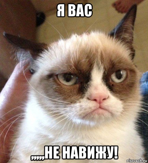 я вас ,,,,,не навижу!