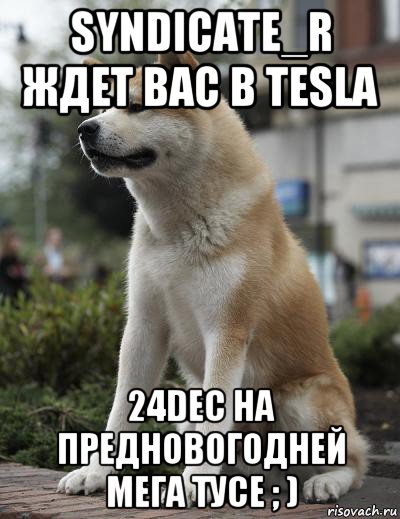 syndicate_r ждет вас в tesla 24dec на предновогодней мега тусе ; )