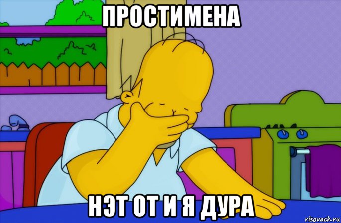 простимена нэт от и я дура, Мем Homer simpson facepalm