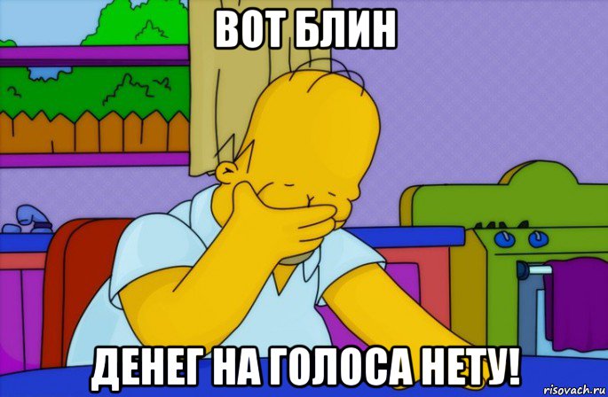 вот блин денег на голоса нету!, Мем Homer simpson facepalm