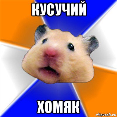 кусучий хомяк, Мем Хомяк