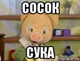 сосок сука