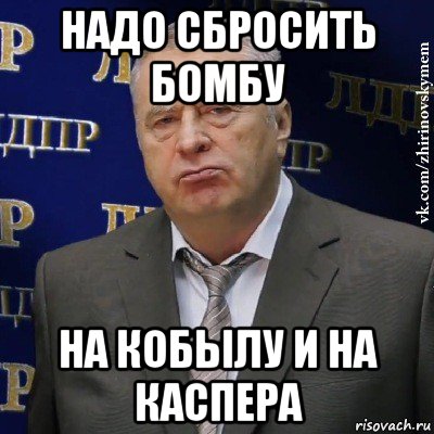 надо сбросить бомбу на кобылу и на каспера, Мем Хватит это терпеть (Жириновский)