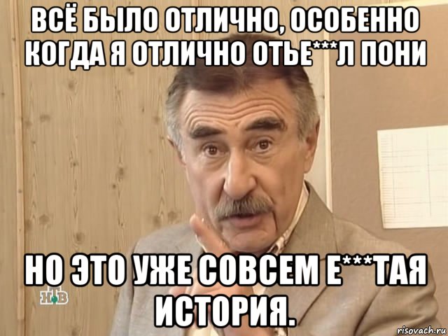 всё было отлично, особенно когда я отлично отье***л пони но это уже совсем е***тая история., Мем Каневский (Но это уже совсем другая история)