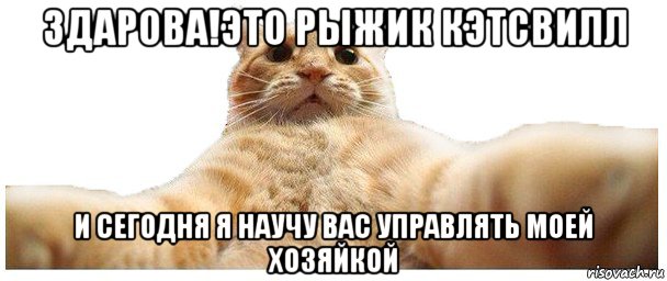 здарова!это рыжик кэтсвилл и сегодня я научу вас управлять моей хозяйкой, Мем   Кэтсвилл