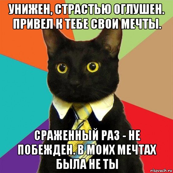 унижен, страстью оглушен. привел к тебе свои мечты. сраженный раз - не побежден. в моих мечтах была не ты, Мем  Кошечка