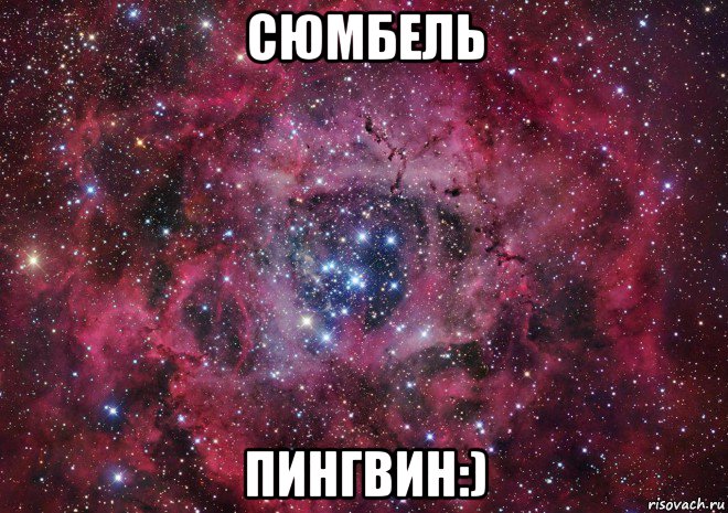 сюмбель пингвин:), Мем Ты просто космос