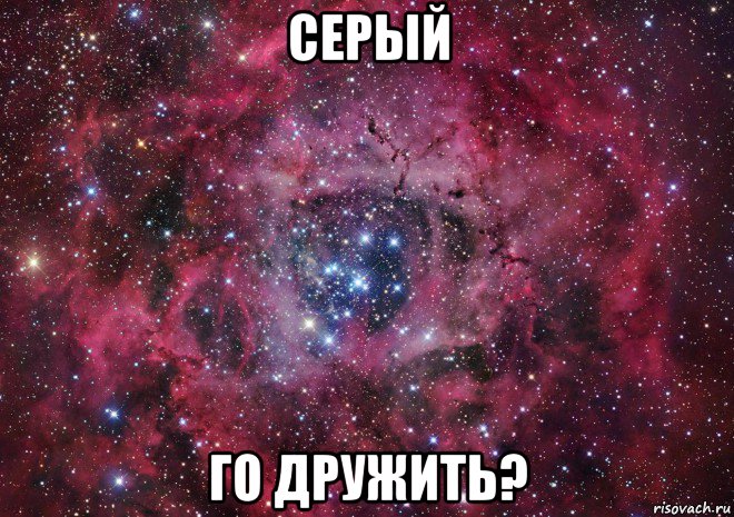 серый го дружить?