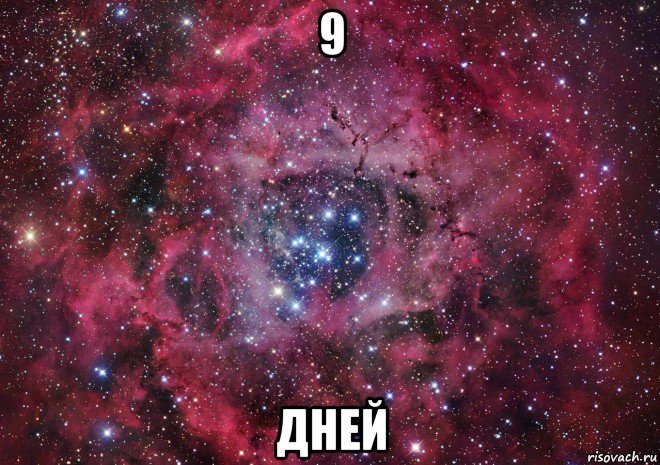 9 дней, Мем Ты просто космос