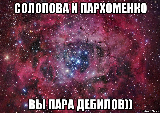 солопова и пархоменко вы пара дебилов)), Мем Ты просто космос