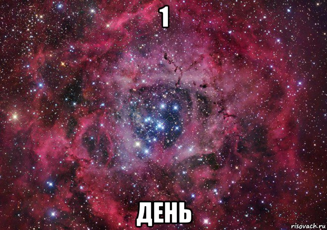 1 день