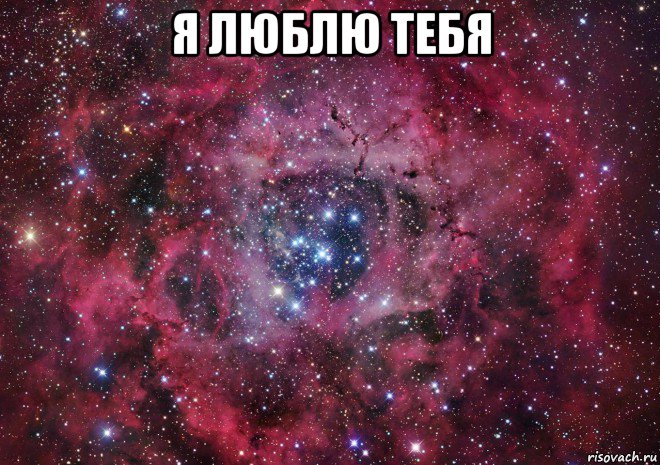 я люблю тебя 