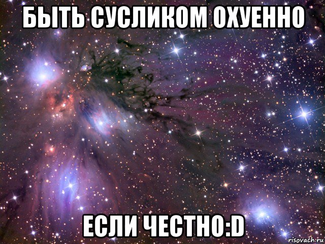 быть сусликом охуенно если честно:d, Мем Космос