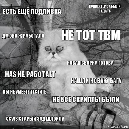 есть ещё подливка нашли новую багу не тот tbm ccws старый задеплоили has не работает конвертер забыли отдать не все скрипты были да оно ж работало вы не умеете тестить новая сборка готова, Комикс  кот безысходность