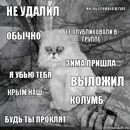 НЕ УДАЛИЛ ВЫЛОЖИЛ ЕЕ ОПУБЛИКОВАЛИ В ГРУППЕ БУДЬ ТЫ ПРОКЛЯТ Я УБЬЮ ТЕБЯ ЖИЗНЬ СЛОЖНАЯ ШТУКА КОЛУМБ ОБЫЧНО КРЫМ НАШ ЗИМА ПРИШЛА, Комикс  кот безысходность