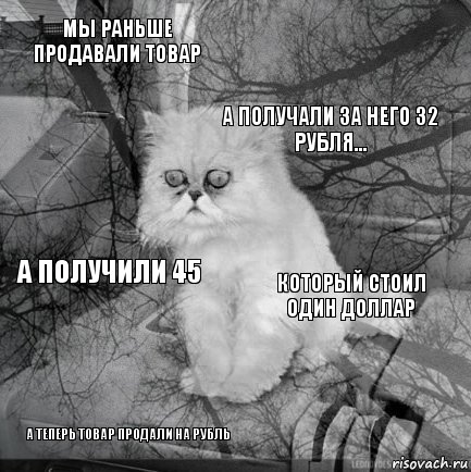 Мы раньше продавали товар который стоил один доллар А получали за него 32 рубля… А теперь товар продали на рубль а получили 45     , Комикс  кот безысходность