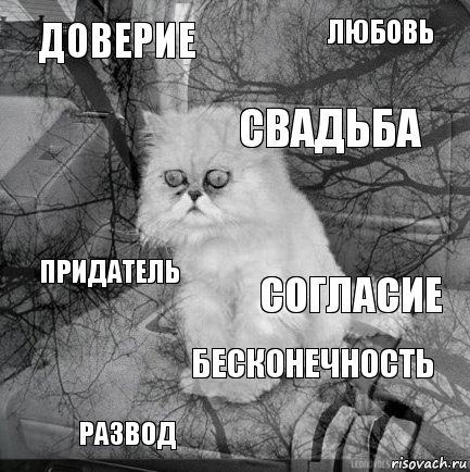 доверие согласие свадьба развод придатель любовь бесконечность   , Комикс  кот безысходность