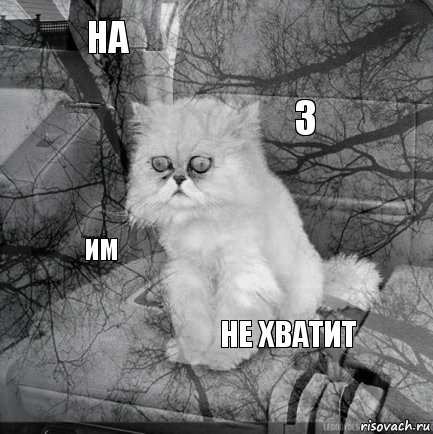 НА  3  ИМ  НЕ ХВАТИТ   , Комикс  кот безысходность