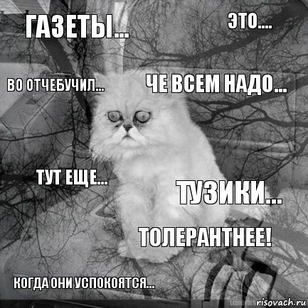 Газеты... Тузики... Че всем надо... Когда они успокоятся... Тут еще... Это.... Толерантнее! Во отчебучил...  , Комикс  кот безысходность