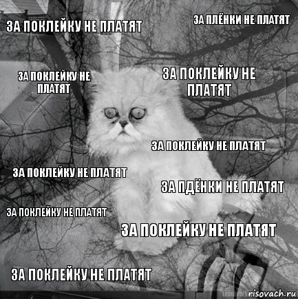 за поклейку не платят за пдёнки не платят за поклейку не платят за поклейку не платят за поклейку не платят за плёнки не платят за поклейку не платят за поклейку не платят за поклейку не платят за поклейку не платят, Комикс  кот безысходность