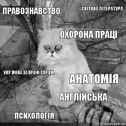 Правознавство Анатомія Охорона праці Психологія Укр.мова за проф.спрям. Світова література Англійська   , Комикс  кот безысходность