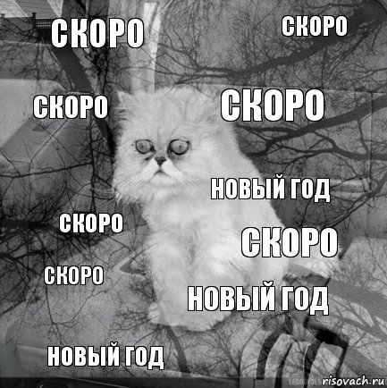 Скоро Скоро Скоро НОВЫЙ ГОД Скоро Скоро НОВЫЙ ГОД Скоро Скоро НОВЫЙ ГОД, Комикс  кот безысходность