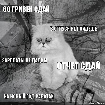 80 гривен сдай отчет сдай в отпуск не пойдешь на новый год работай зарплаты не дадим     , Комикс  кот безысходность