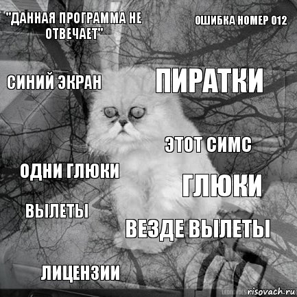 "данная программа не отвечает" глюки пиратки лицензии одни глюки ошибка номер 012 везде вылеты синий экран вылеты этот симс, Комикс  кот безысходность