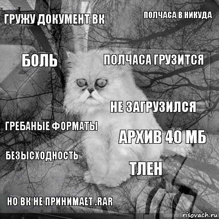 Гружу документ вк Архив 40 мб Полчаса грузится Но вк не принимает .rar Гребаные форматы Полчаса в никуда Тлен Боль Безысходность Не загрузился, Комикс  кот безысходность